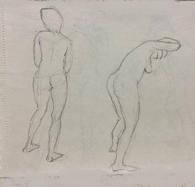 Model (50)